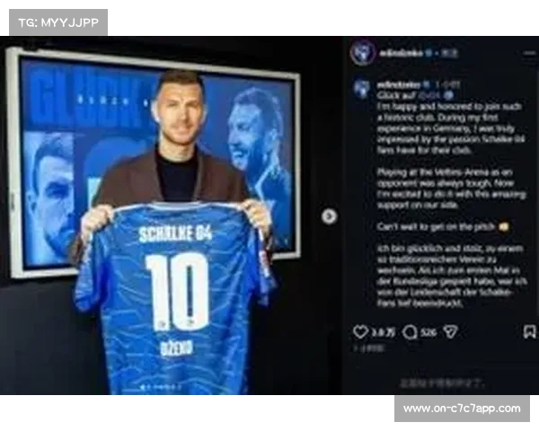 沙尔克04签下哲科，老将重返德甲引关注